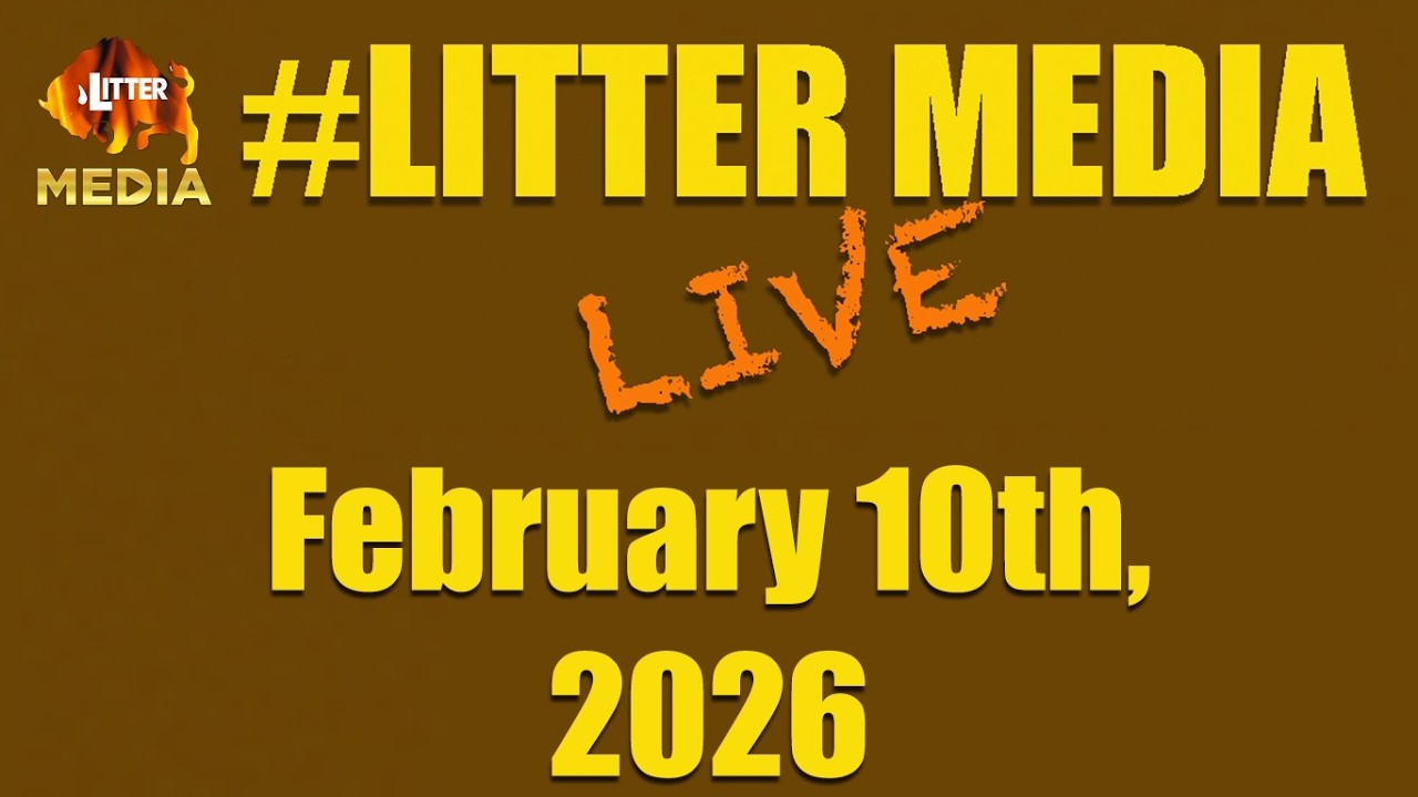 #LitterMediaLIVE во вторник, 10 февраля 2026 года