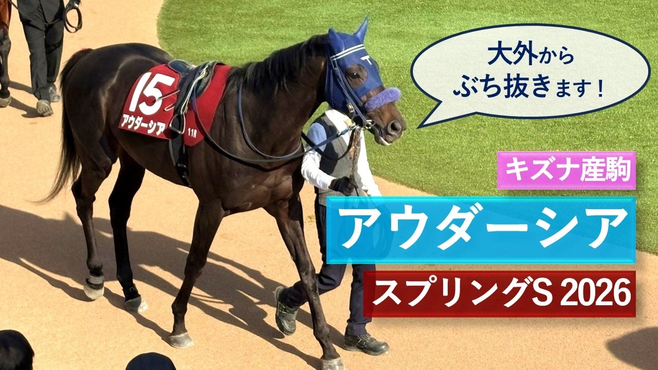 2026年 スプリングステークス | アウダーシア | アスクエジンバラ | アクロフェイズ | パドック 現地映像 全頭 | 中山競馬場 | 芝1,800
