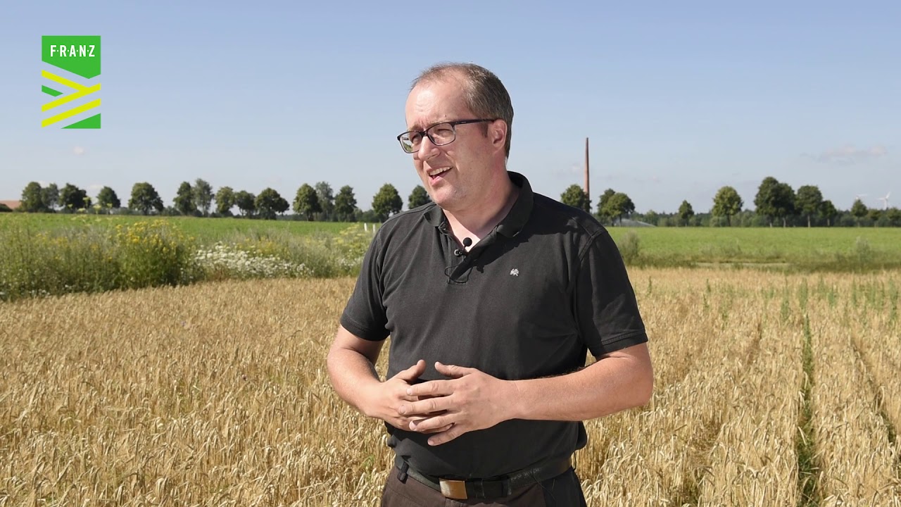 Sommergetreide mit bl&uuml;hender Untersaat: F.R.A.N.Z.-Landwirt erkl&auml;rt Naturschutzma&szlig;nahme