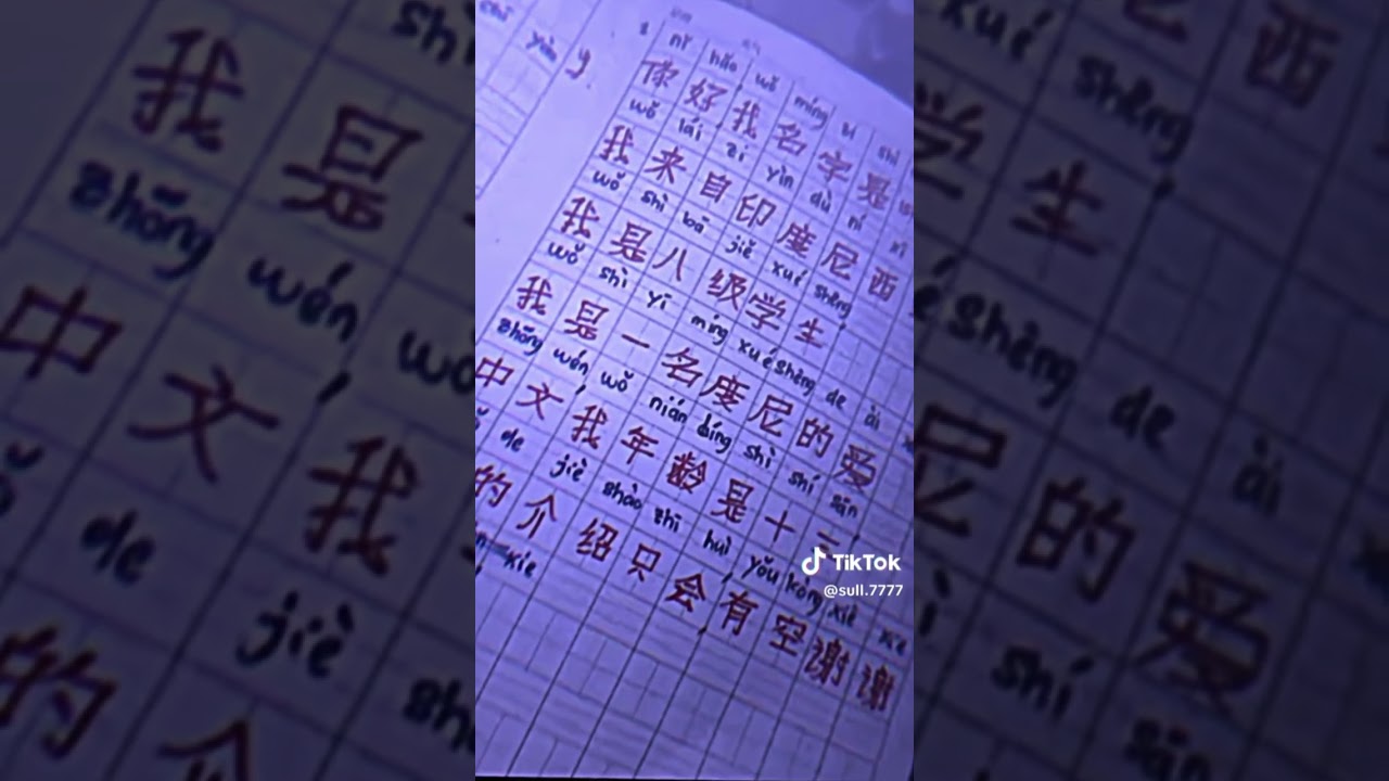 bahasa mandarin/cina