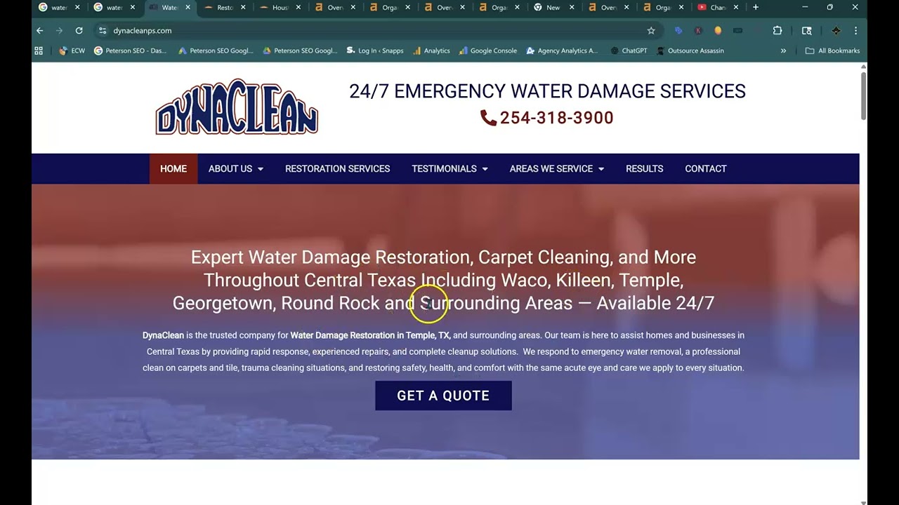 DynaClean Online Audit | Peterson SEO