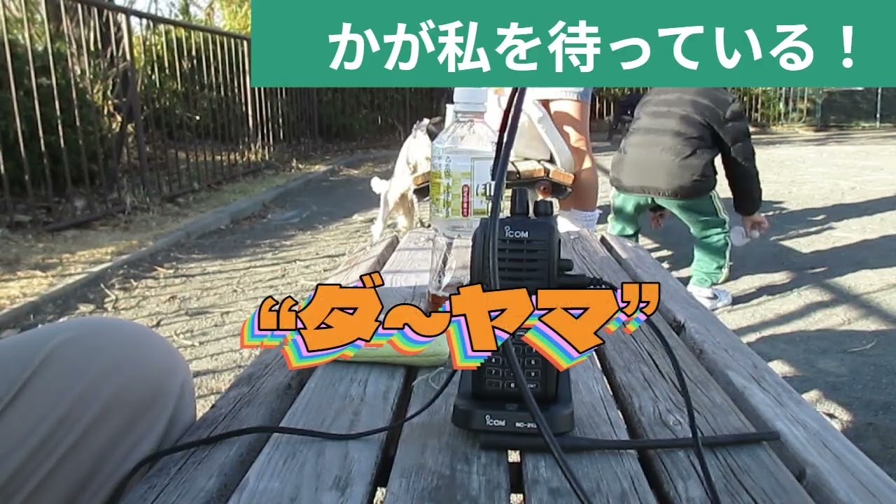 アマチュア無線。賑わう、N・Y・Pに今日も、秋葉台公園から、参加！　「ダ～ヤマ」炸裂です！