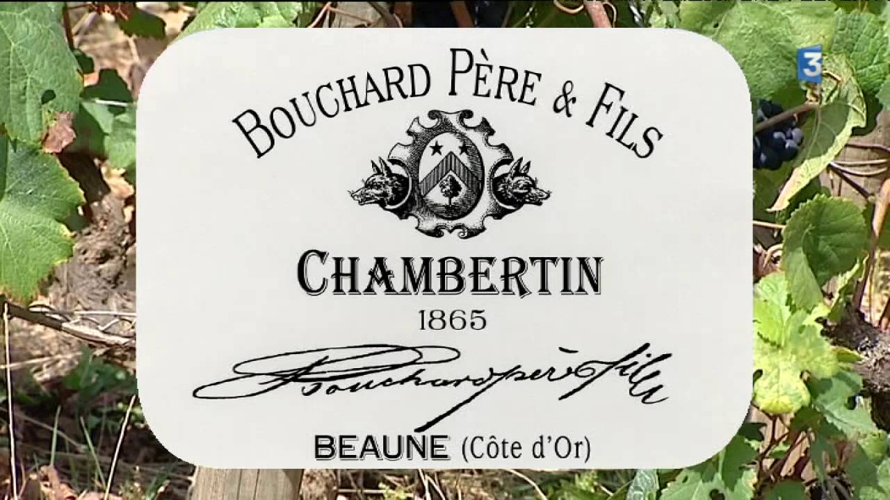 Grands vins : vente aux enchères exceptionnelle maison Bouchard