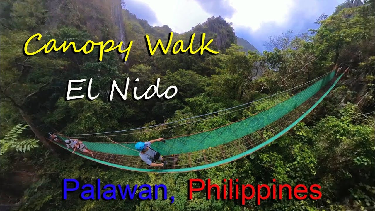 EL NIDO CANOPY WALK (Palawan) + TALKING TO A LOCAL WHO EXPERIENCED THE HUGE TYPHOON
