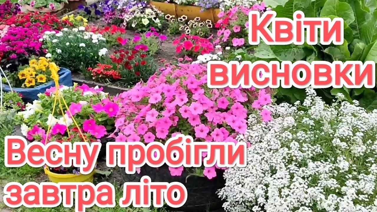 Огляд квітів, весняні висновки 🌺