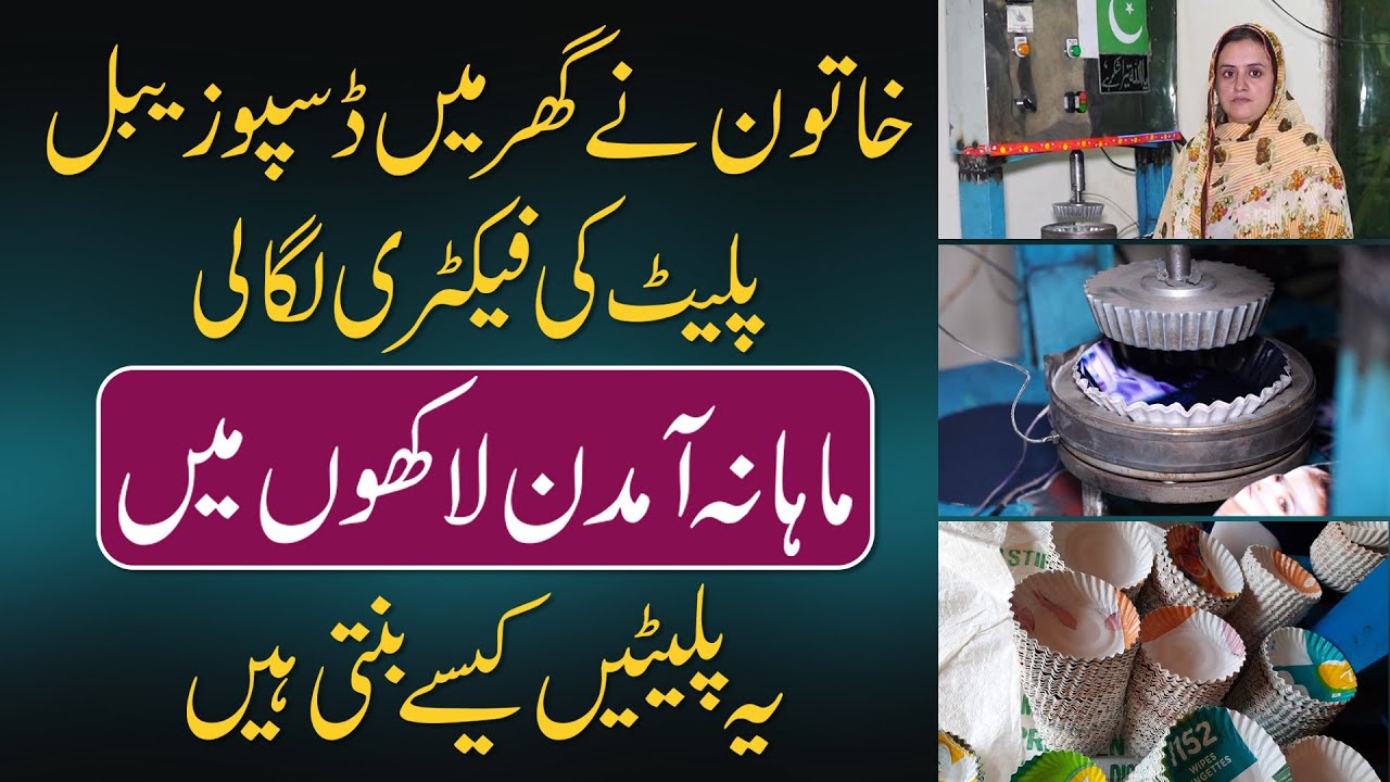 The woman set up a disposable plate factory at home | Monthly income in lakhs | Daily Point