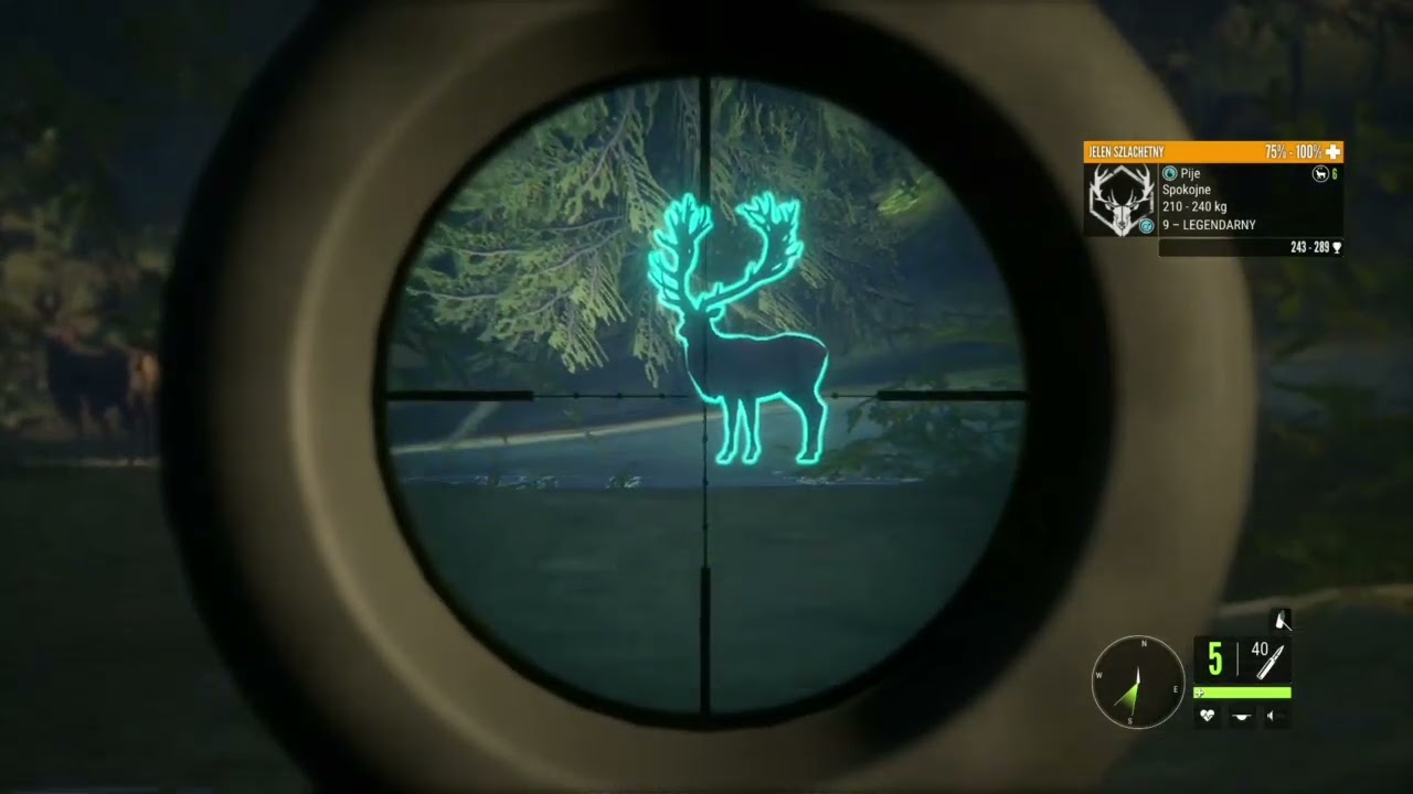the Hunter:Call of the Wild.Łaciaty Żubr i nie tylko .😊 💎#13.