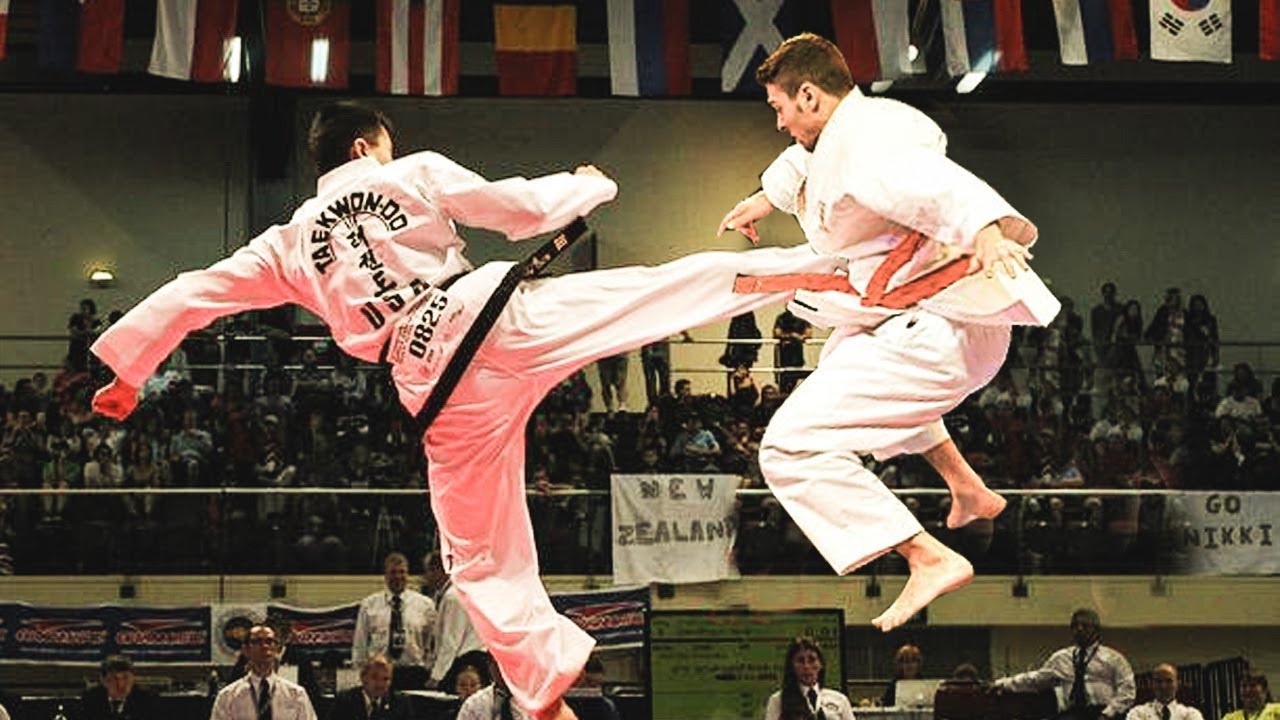 Karate vs Taekwondo