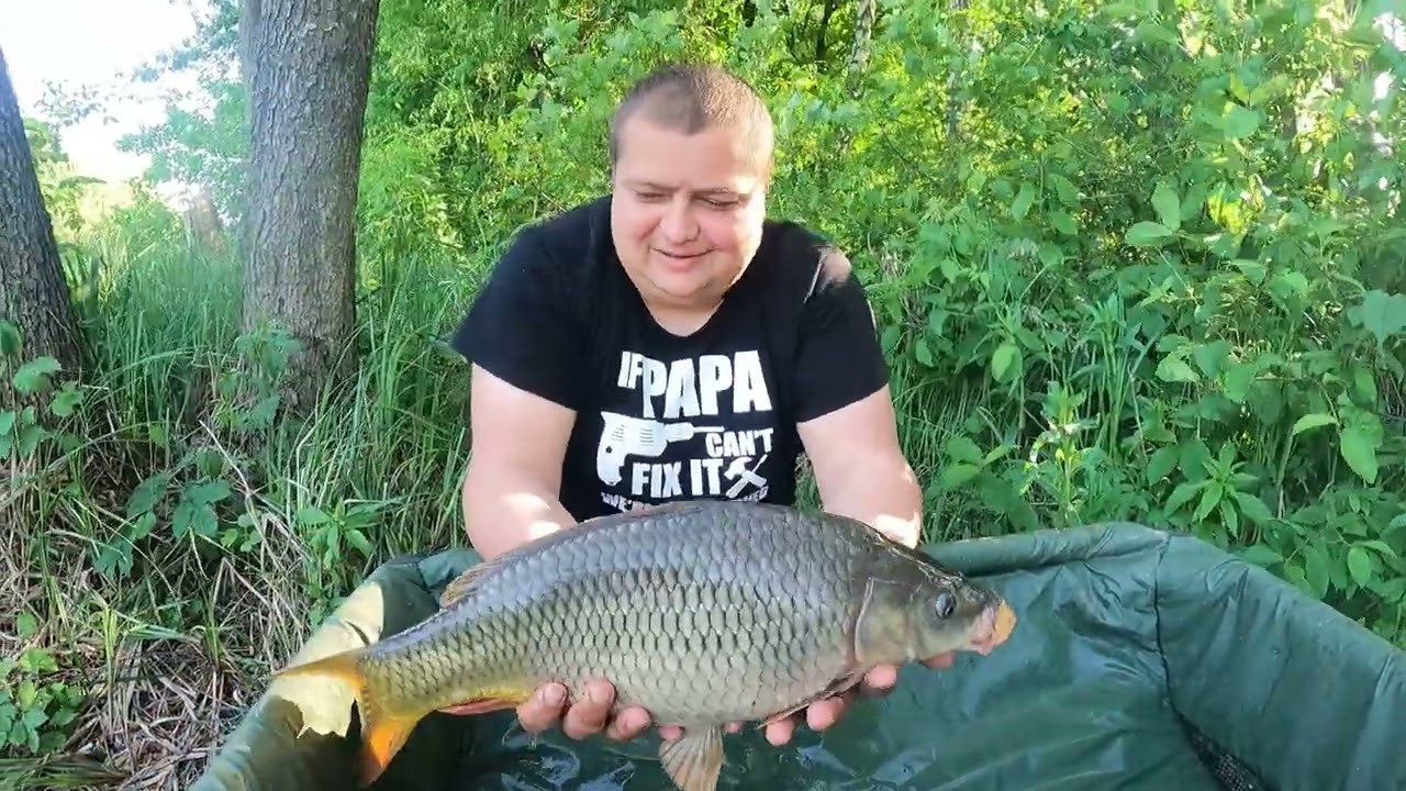 Душевний відпочинок і коропи як завжди.