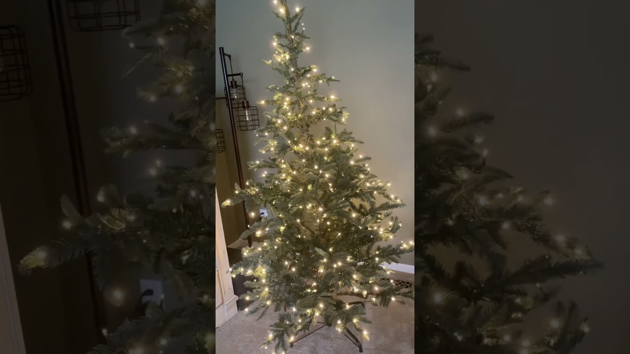 King of Christmas King Noble Fir Unboxing 🌲💚