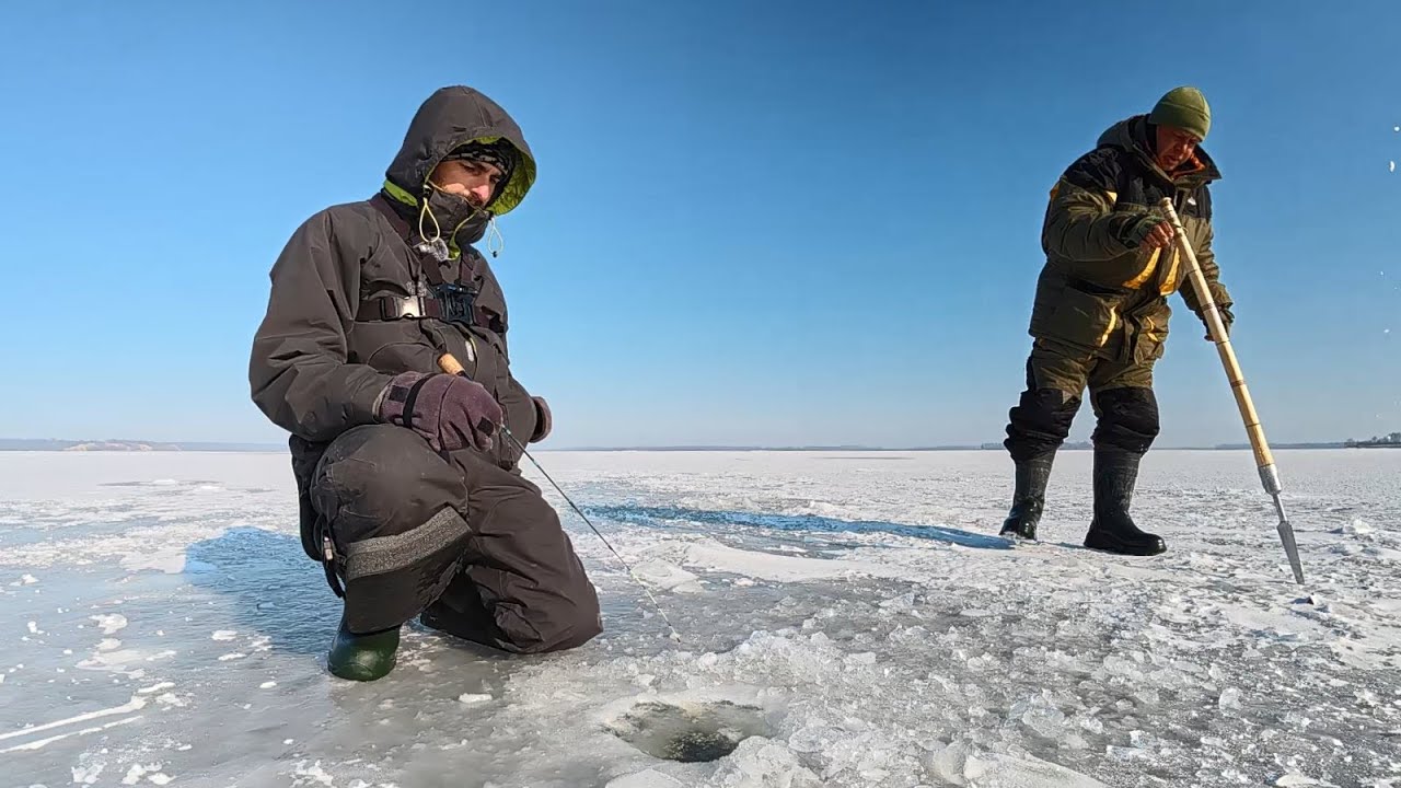Тут СУДАКА як Плотви, Рибалка на судака, Судак на балансир