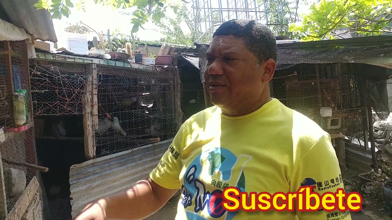 Visitando el Aviario de Mister