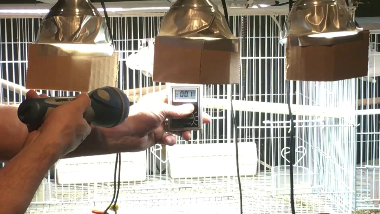 Full Spectrum Lamp Myth Revealed