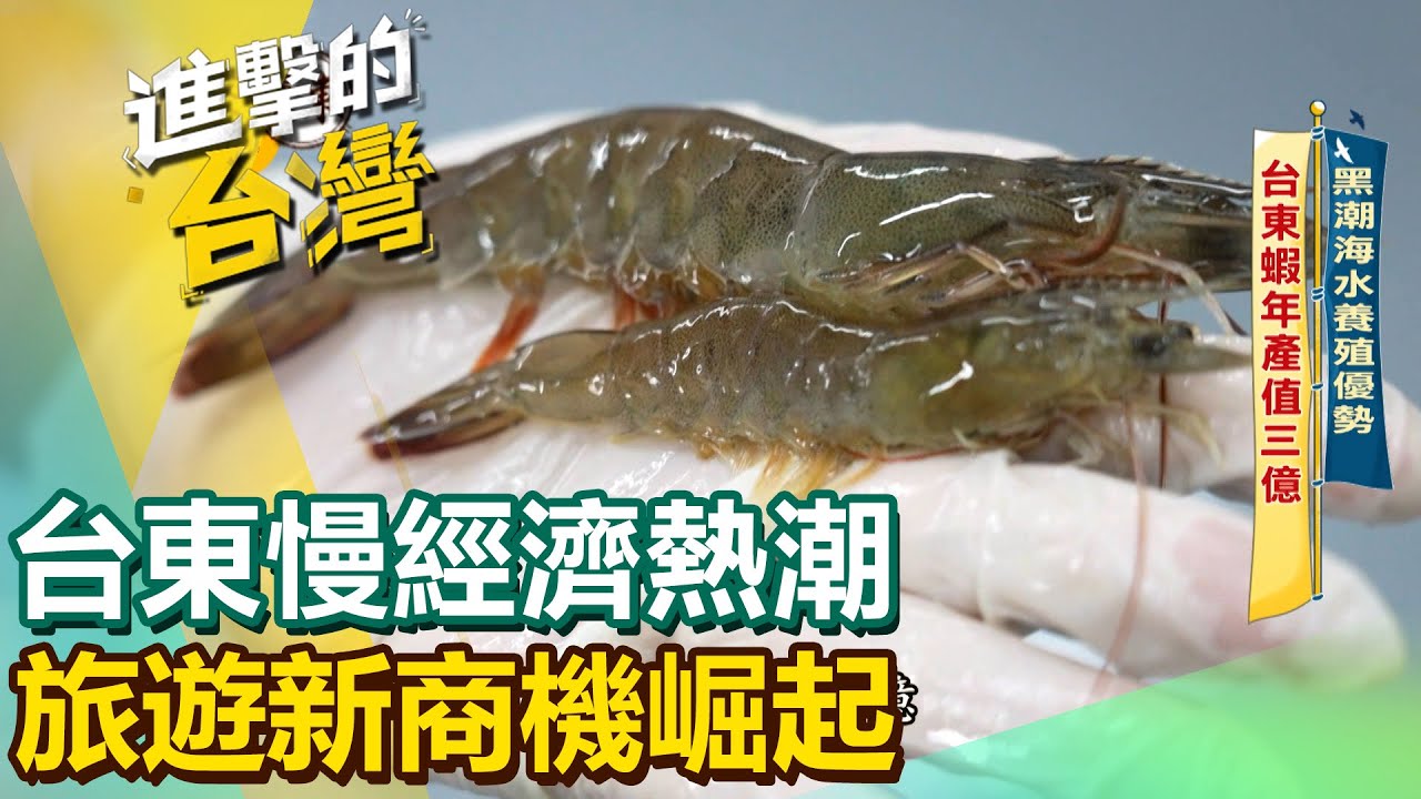 【進擊的臺東】台東慢經濟熱潮 旅遊新商機崛起