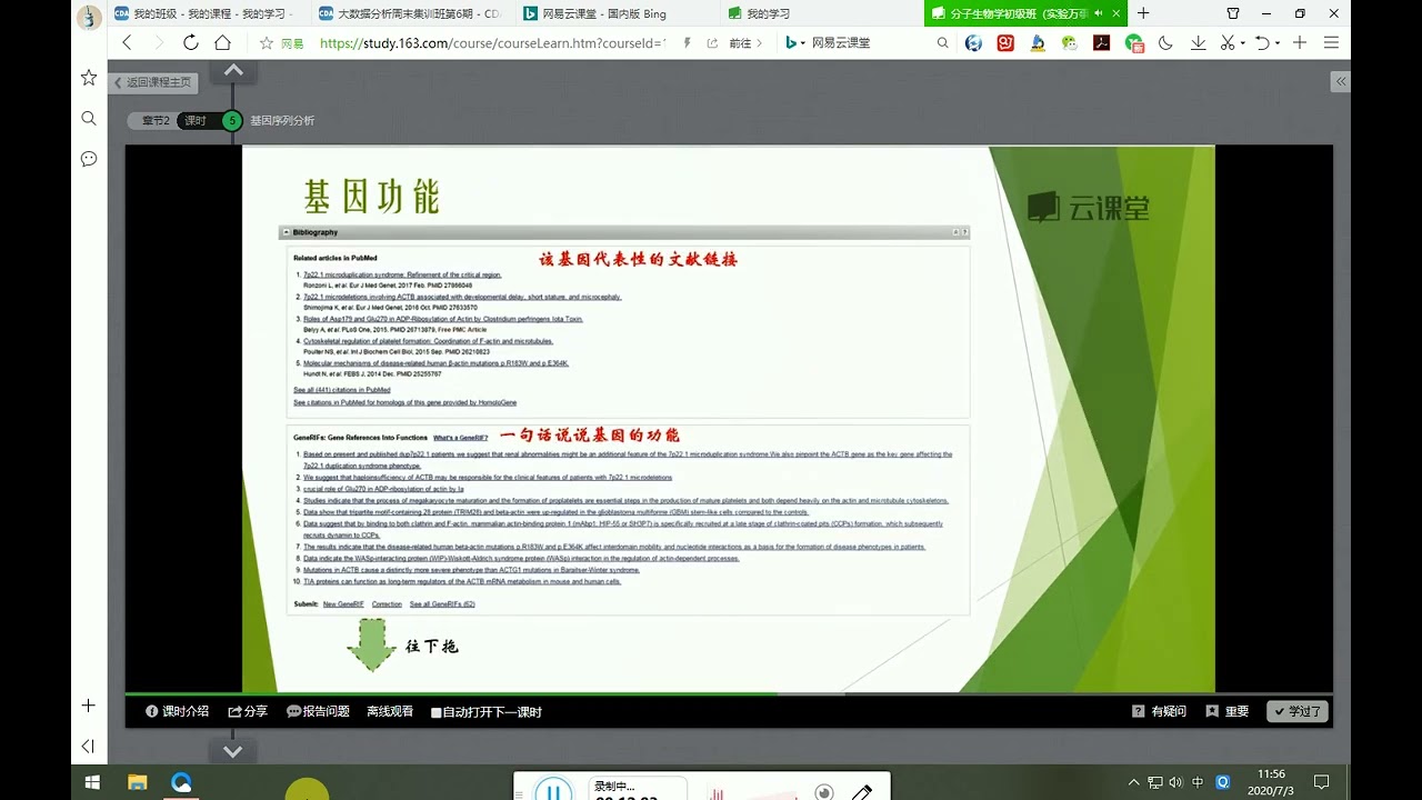 02 基因序列分析