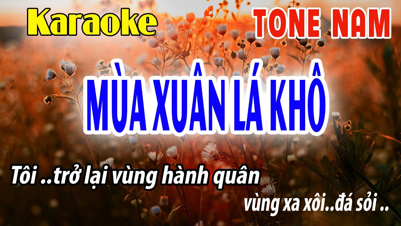 Mùa Xuân Lá Khô  Karaoke  Tone Nam | Am | Beat Phối Mới Dễ Hát | Đời Sống Và Âm Nhạc