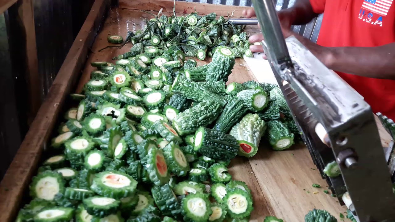 Bitter gourd dry process