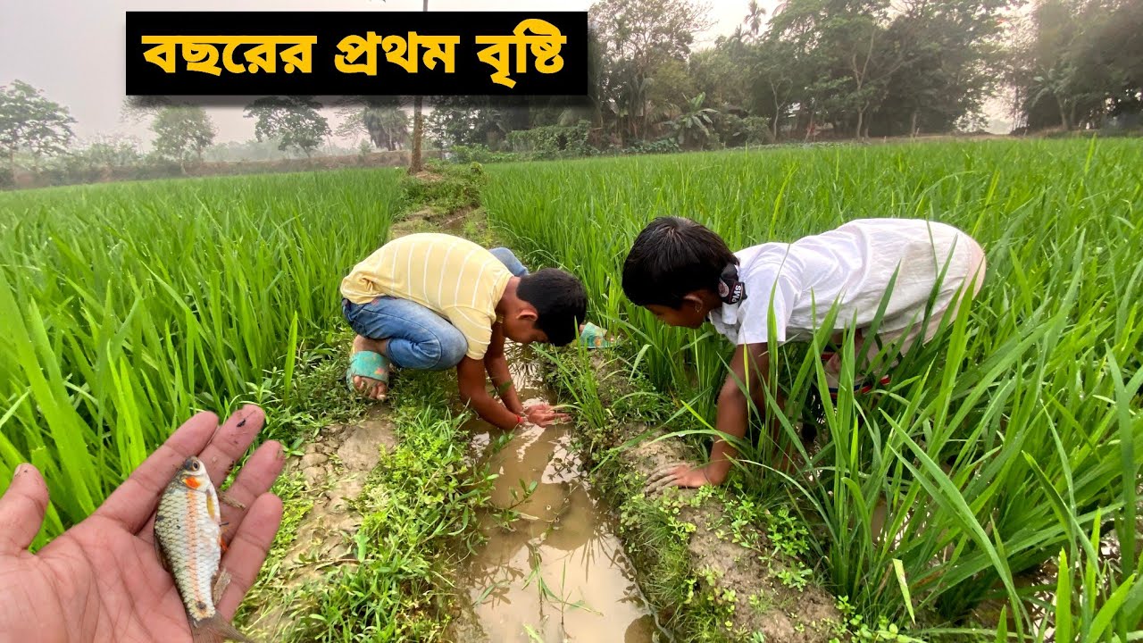 ২০২৬ সালের প্রথম বৃষ্টিতে মাছ ধরা | Our Daily Simple Village Life Vlog 