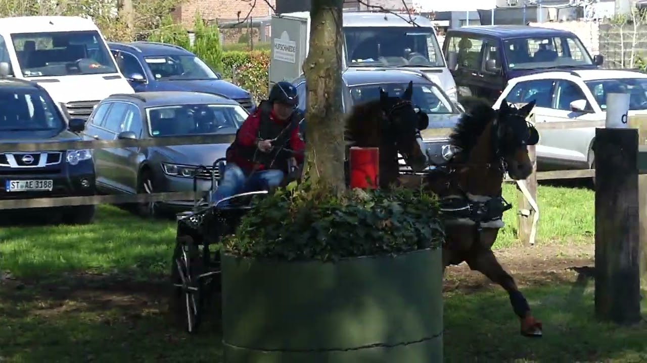 48 KOHLWEI&szlig; Birgit, GER, PAIRS PONIES CAI3#   P2, Wettringen, Marathon, 27 04 2025, Ob 5