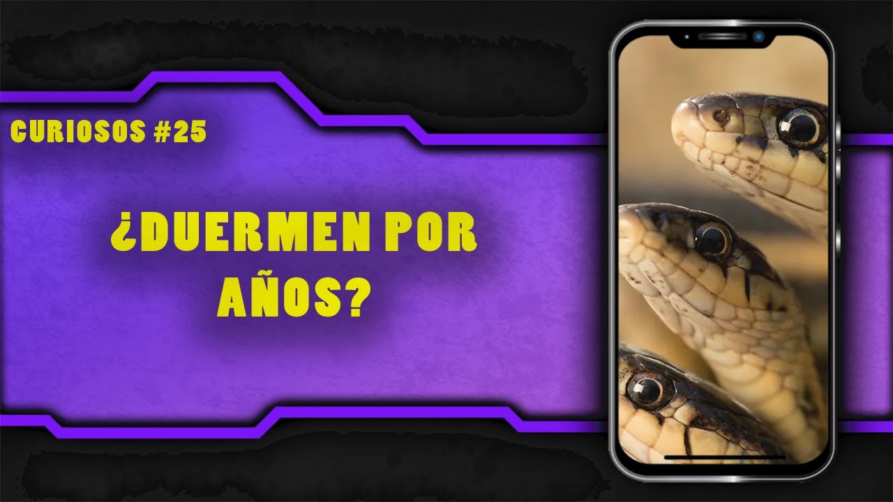 LAS SERPIENTES PUEDEN HIBERNAR POR MUCHOS A&Ntilde;OS!?!?