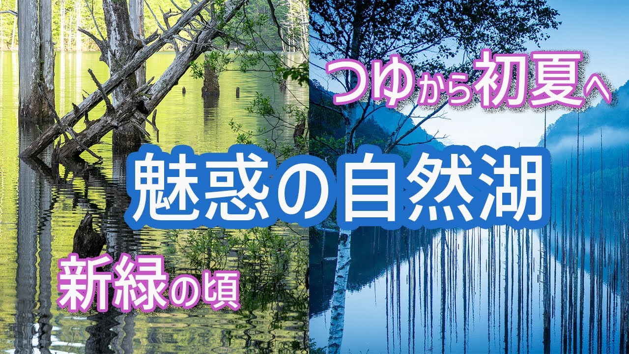 自然湖／新緑の頃、つゆから初夏へ【魅惑の風景動画】【撮影地紹介】