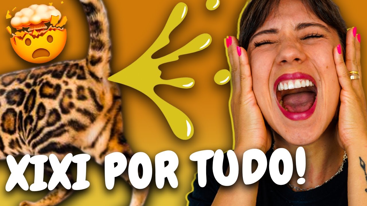 Gato Marcando Território?🙀 Por que Ele faz isso? Entenda esse Comportamento!