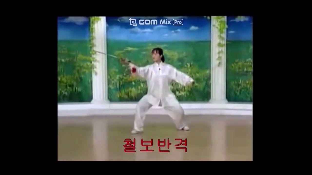 태극검18식3회연속  한글구령  4분31초