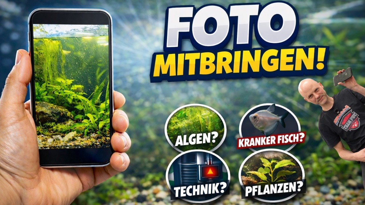 Deshalb solltest du IMMER ein Foto deines Aquariums dabei haben