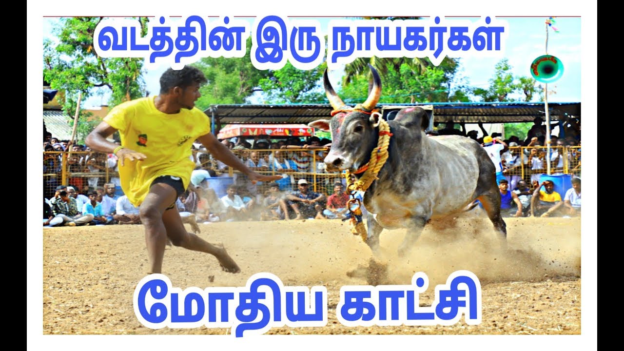 திருச்சி கோசக்குறிச்சி காளை vs  கருப்பயூரணி குழு