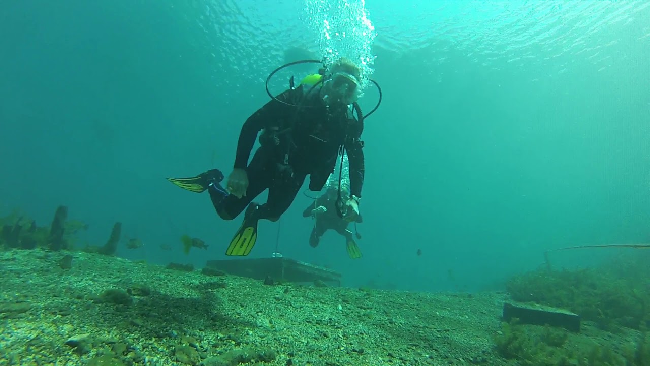 Diving at the Meadows Center for Water and the Environment