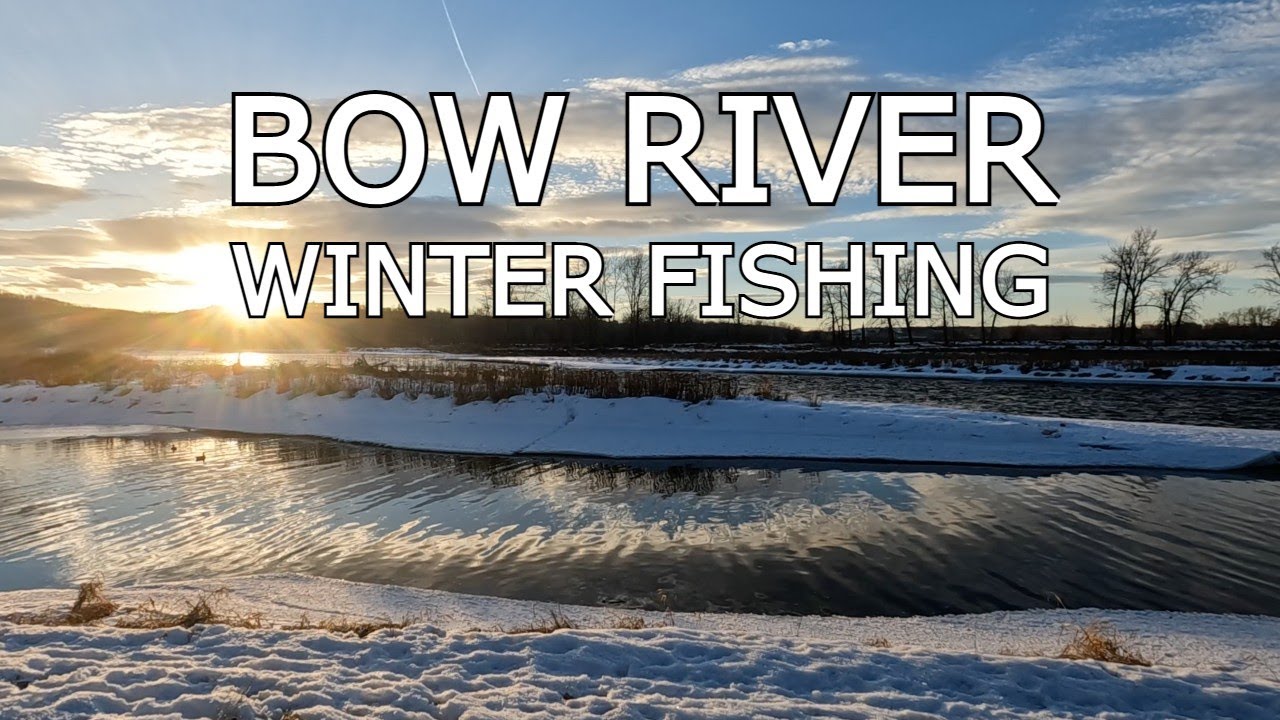 Winter Fly Fishing on the Bow River: Personal Best Whitefish