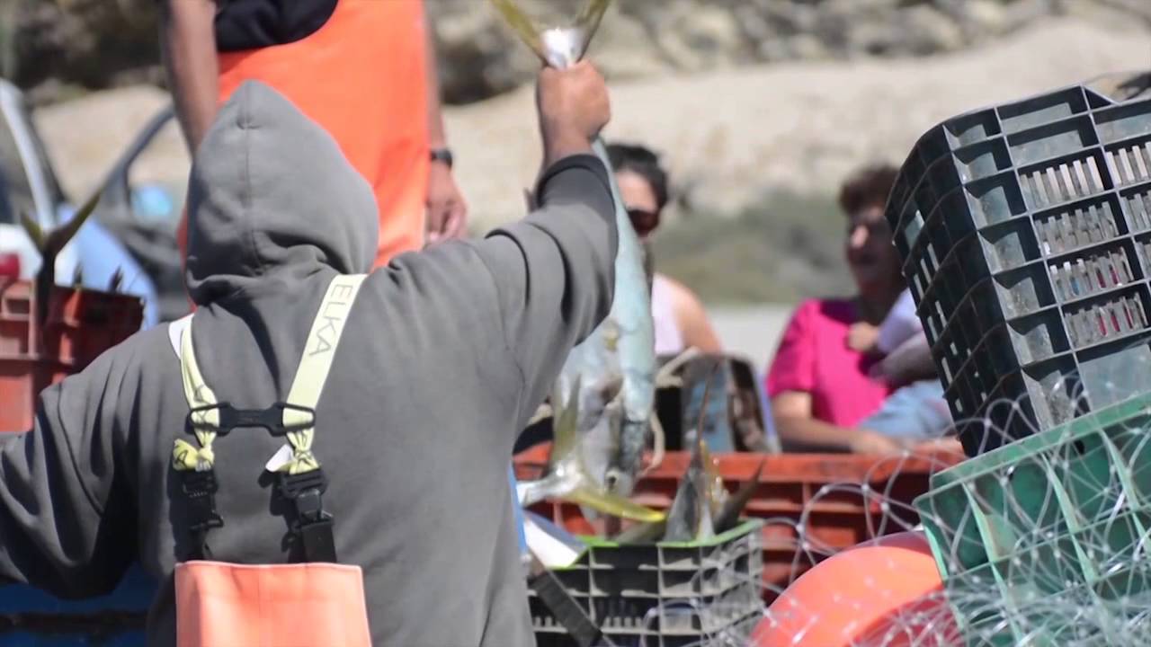 Scorpion Bay Fishing and Surfing Club