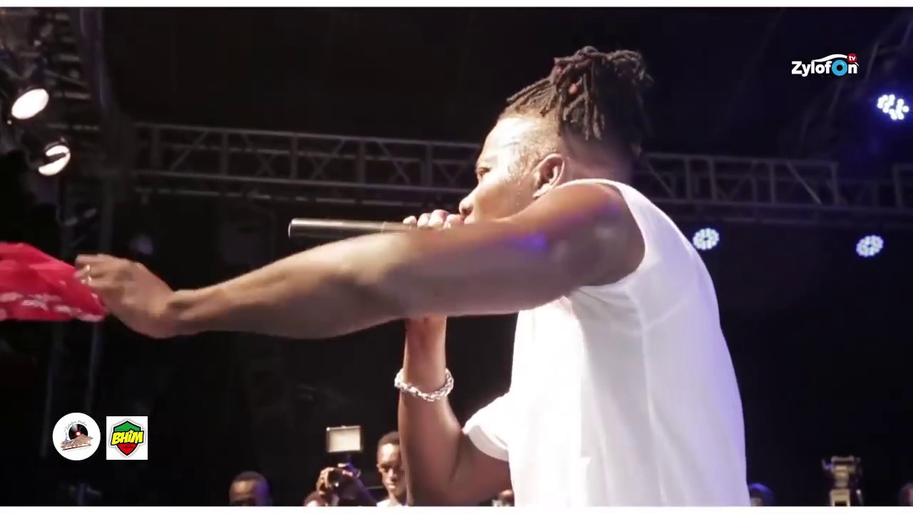 Stonebwoy Performs @ Ashaiman To Da World Concert Part 2 (2017)