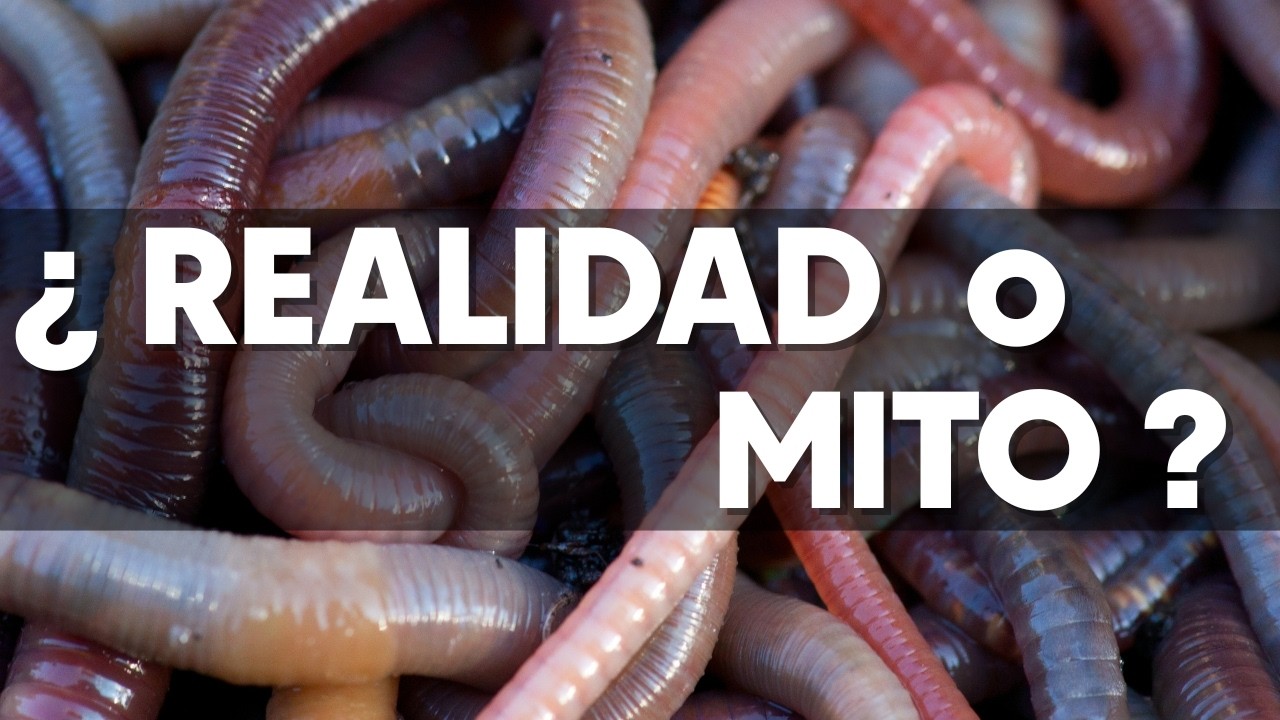 La CIENCIA del VERMICOMPOST: ¿cómo trasplantar un ecosistema?