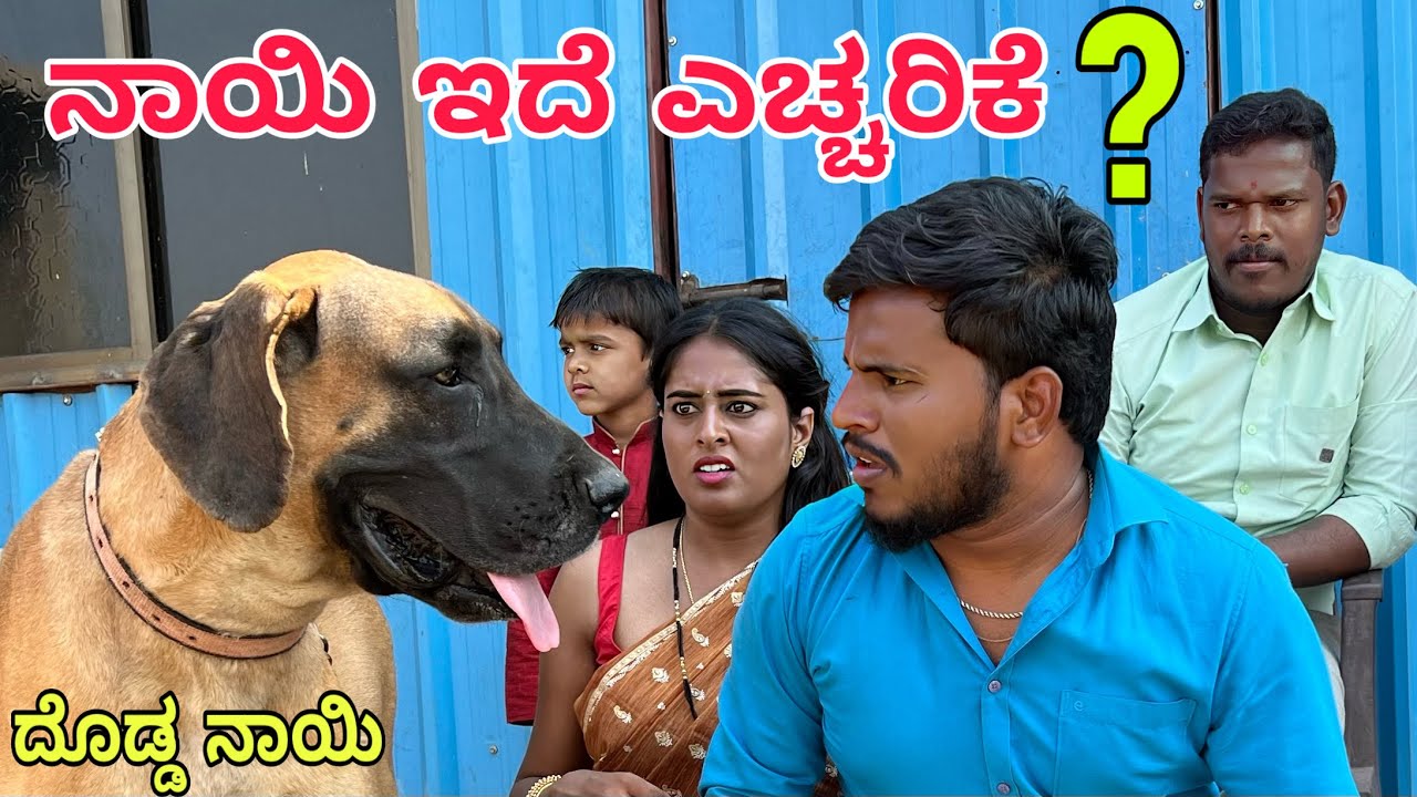 ನಾಯಿ ಗೂಡ ವಳಗ ನಟರಾಜ #shivaputra #shivaputracomedy #shivaputrayasharadha #uttrakarnataka