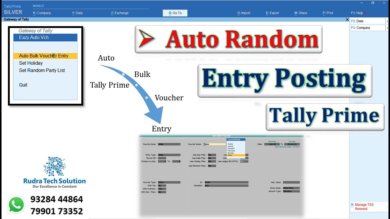 Tally TDL : Auto Bulk Voucher Entry Posting | Easy Auto Random Entry Posting in Tally Prime