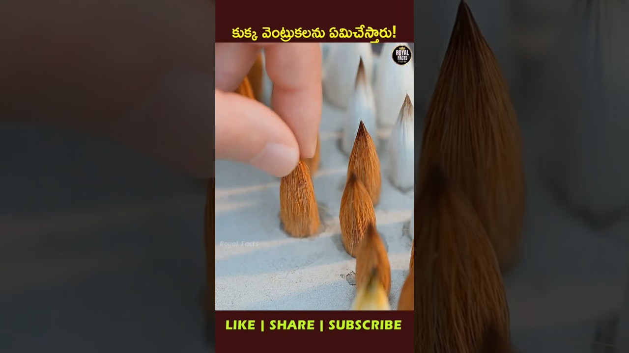 Hubei Brush: Made From Dog Hair Using Ancient Skills! 😱 