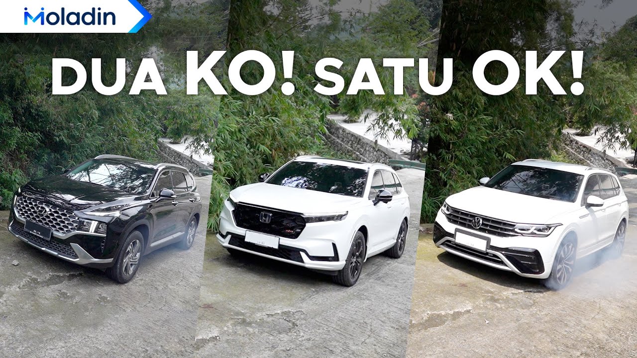 Pembuktian! Lebih Mahal dan Canggih Bisa Lebih Baik? CR-V Hybrid VS Santa-Fe VS Tiguan | MOLADIN