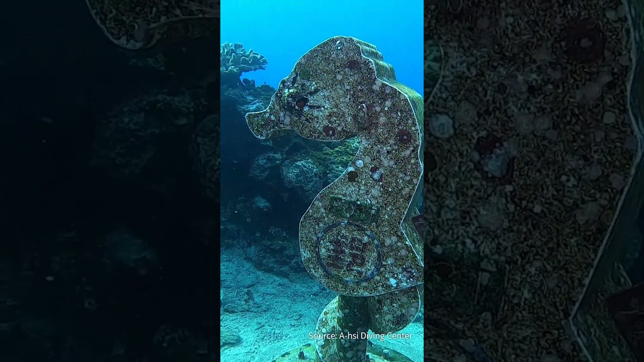 Underwater Attractions of Green Island