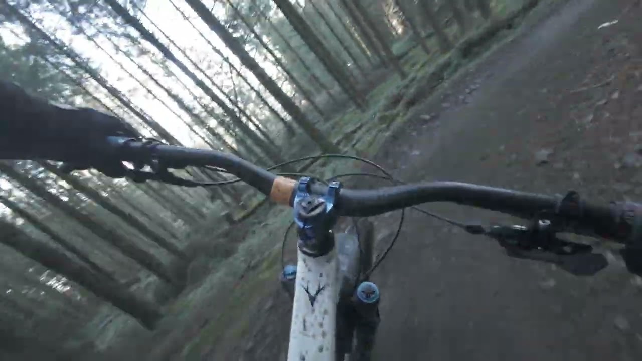 Terry’s Belly – Mid Section | Bike Park Wales 🌲