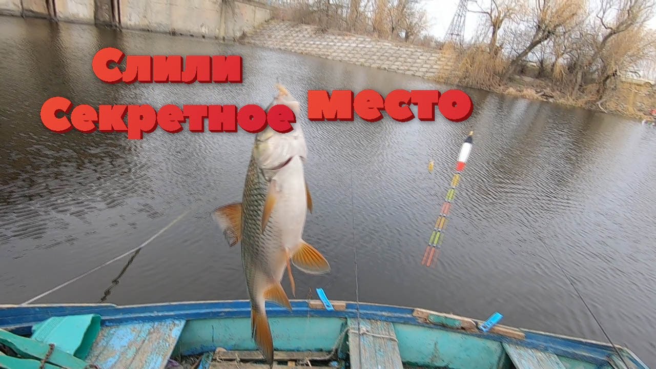 ТАРАНЬ с батон !!! СЛИЛИ секретное место