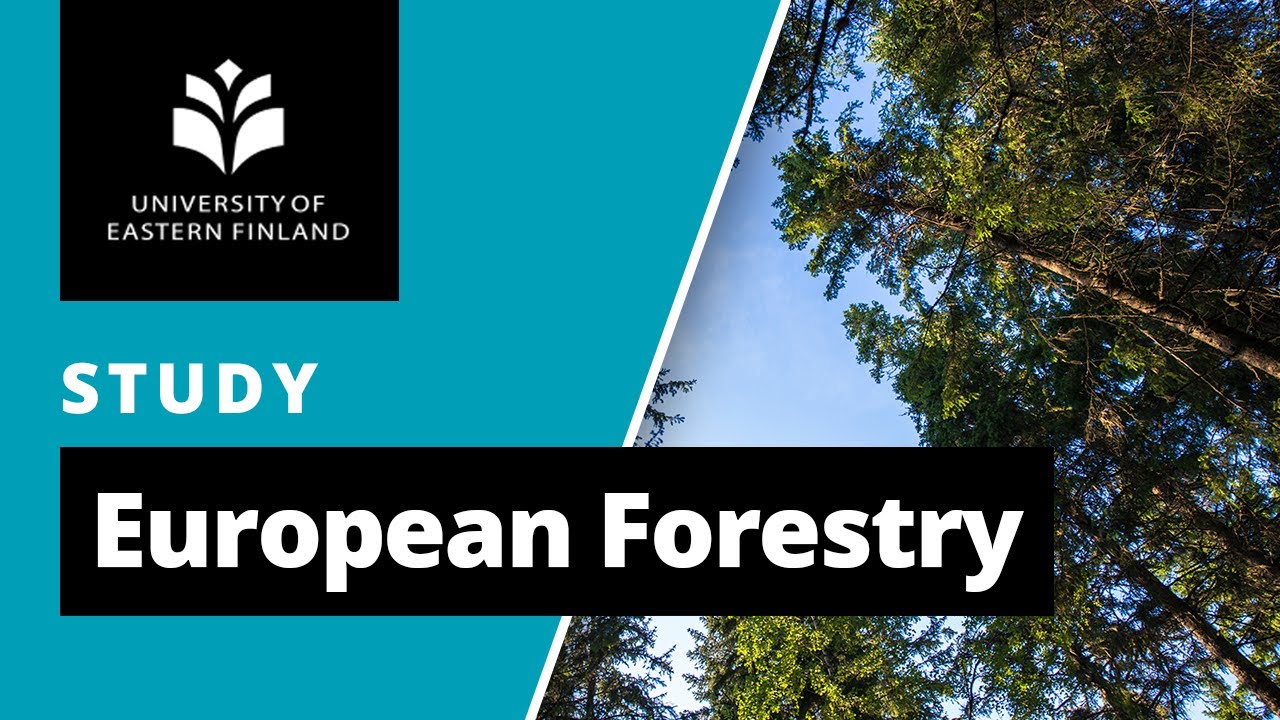 European Forestry