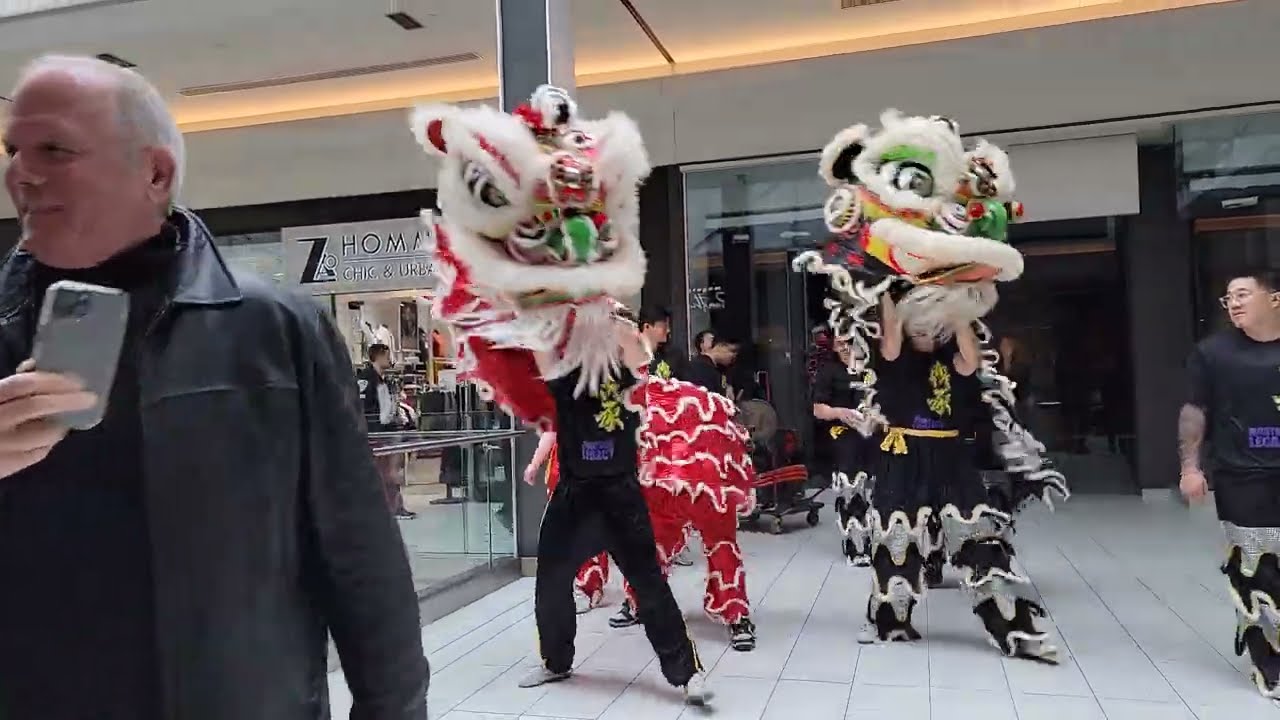 CF St Bruno Asian Market Lion Dance 2/2