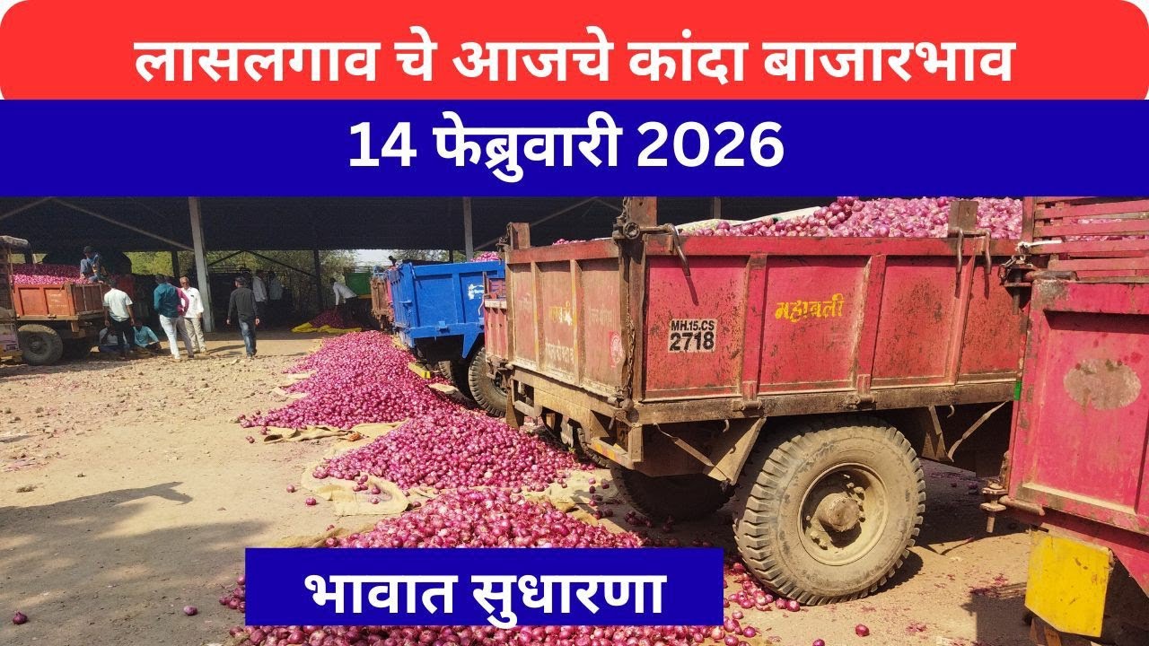 लासलगाव बाजार समिती आजचे कांदा बाजारभाव Lasalgaon Onion Market Rate Today 14 फेब्रुवारी 2026