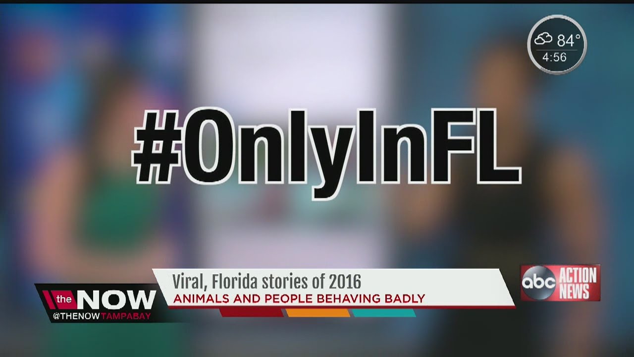 #OnlyInFlorida: Viral Florida Stories of 2016