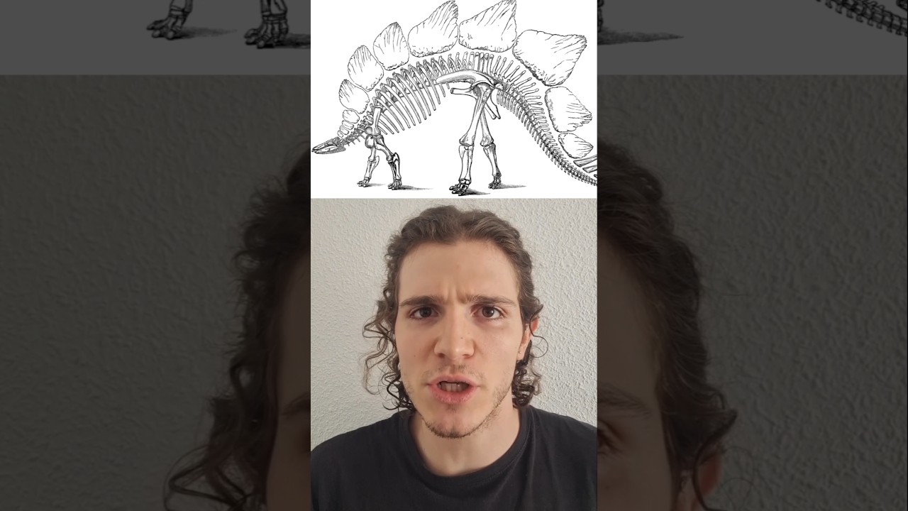 Por qu&eacute; ODIO a la RAE #paleontologia #dinosaurios #curiosidades #humor