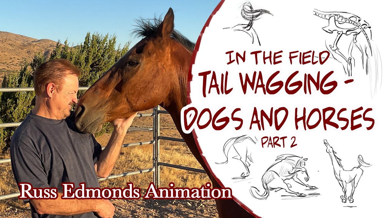 Tail Wagging PART 2 - Dogs and Horses / Animation drawing and studying behavior / Russ Edmonds