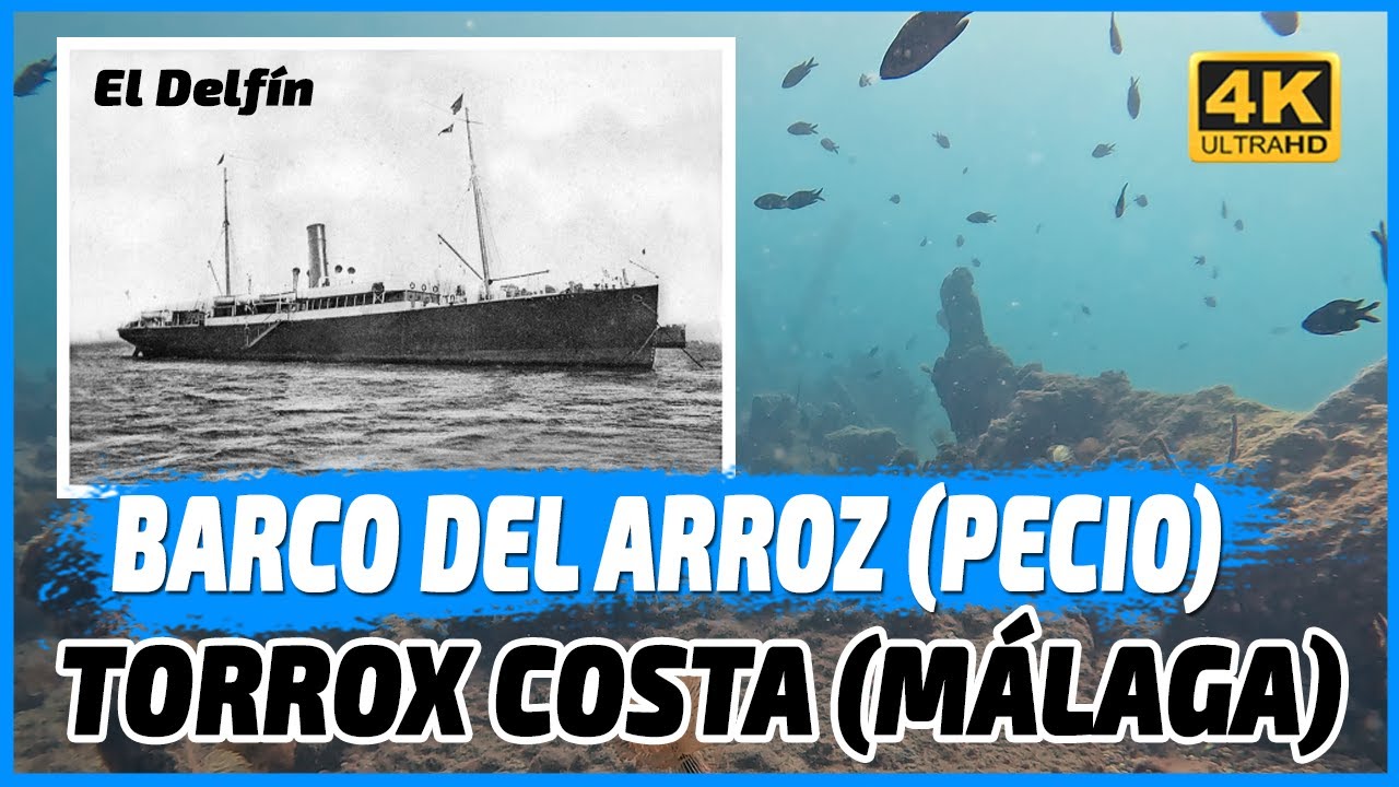 🐟🤿 Buceo en el Barco del Arroz en Torrox: el Delfín tras 86 años bajo el agua