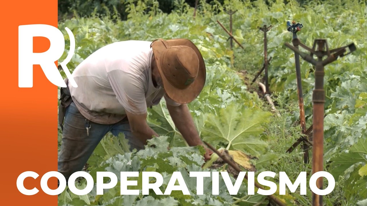 Cooperativismo fortalece agricultores familiares em Londrina