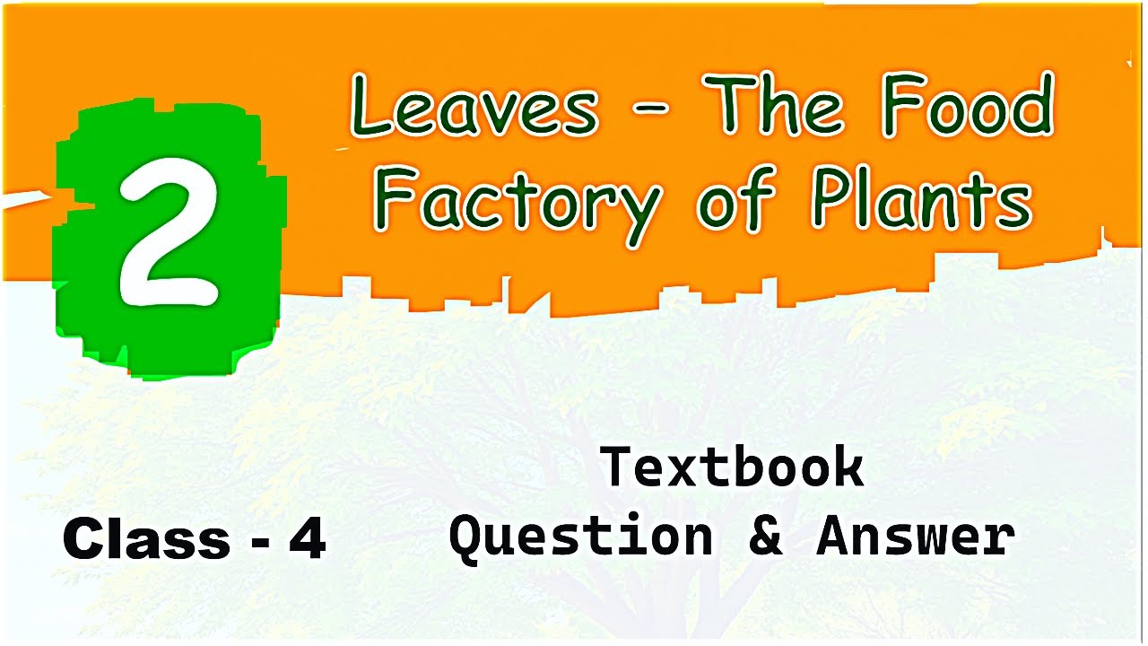 Leaves – The Food Factory of Plants | Class 4 Science | Textbook Q&A | Full Chapter Explained